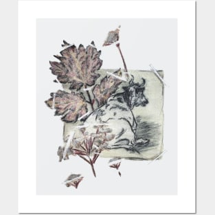 Cow and Cow Parsnip Posters and Art